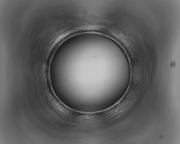 X0000096181404200801181302