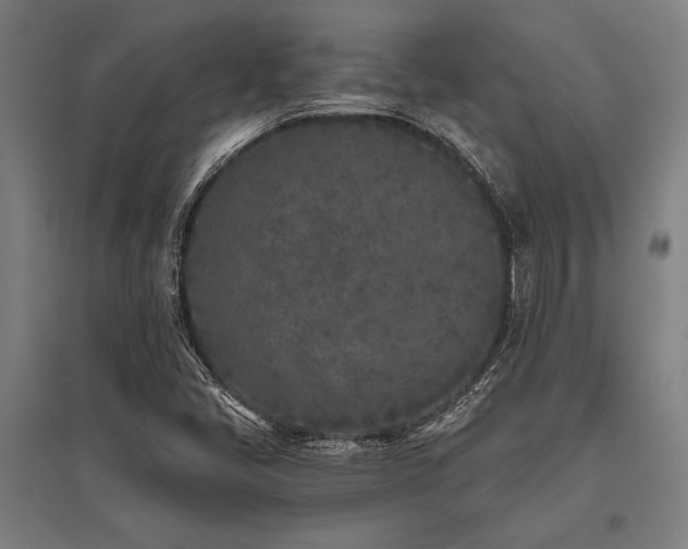X0000096181405200801181302