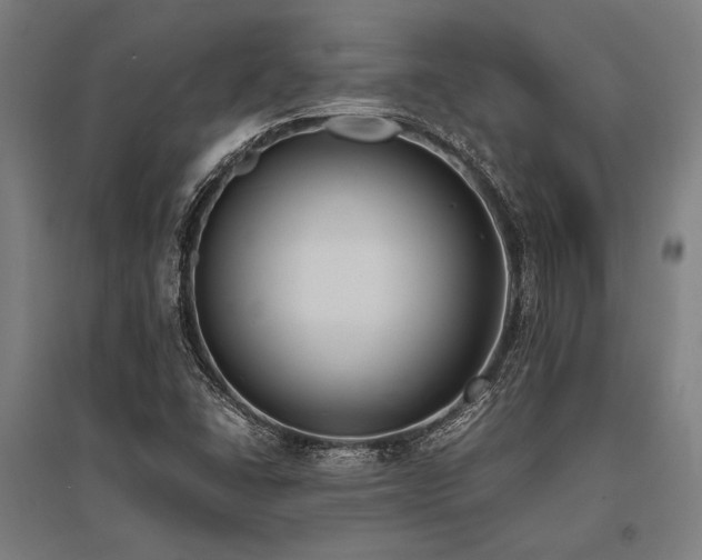 X0000096181406200801181302