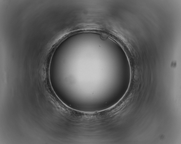 X0000096181407200801181302