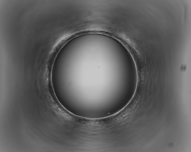X0000096181408200801181302