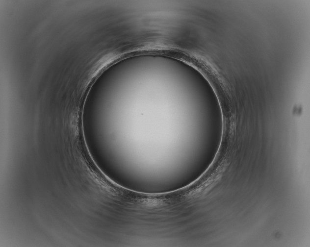 X0000096181409200801181302