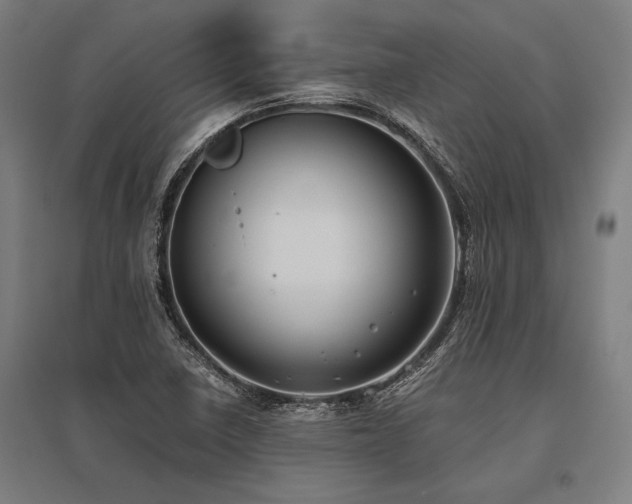X0000096181410200801181302
