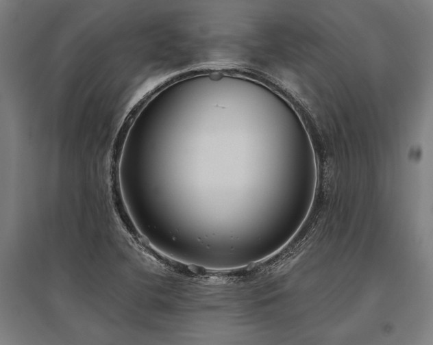 X0000096181412200801181302