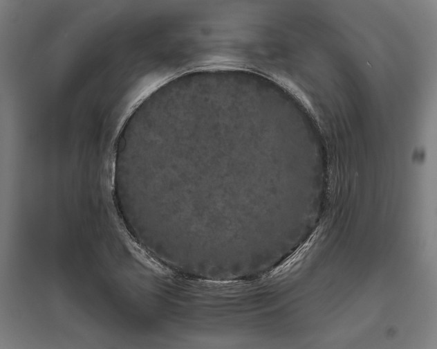 X0000096181413200801181302