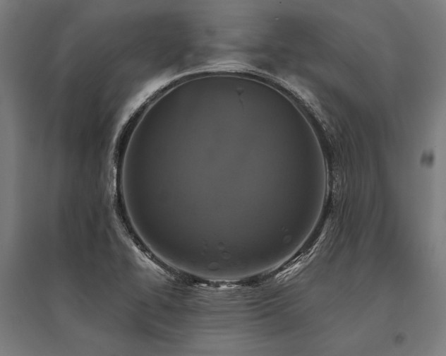 X0000096181414200801181302