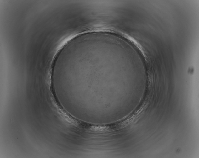 X0000096181415200801181302