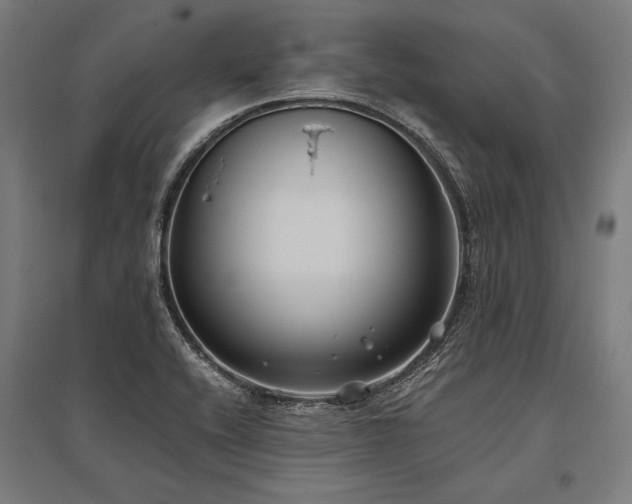 X0000096181416200801181302