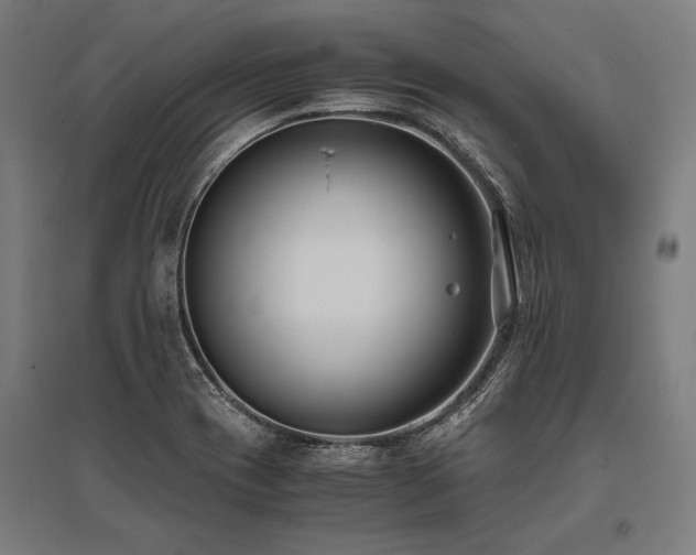 X0000096181417200801181302