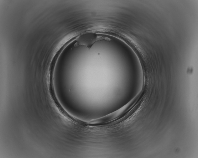 X0000096181418200801181302