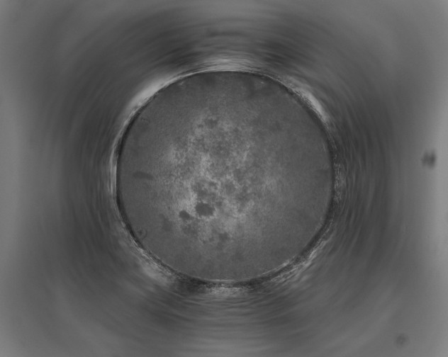 X0000096181419200801181302