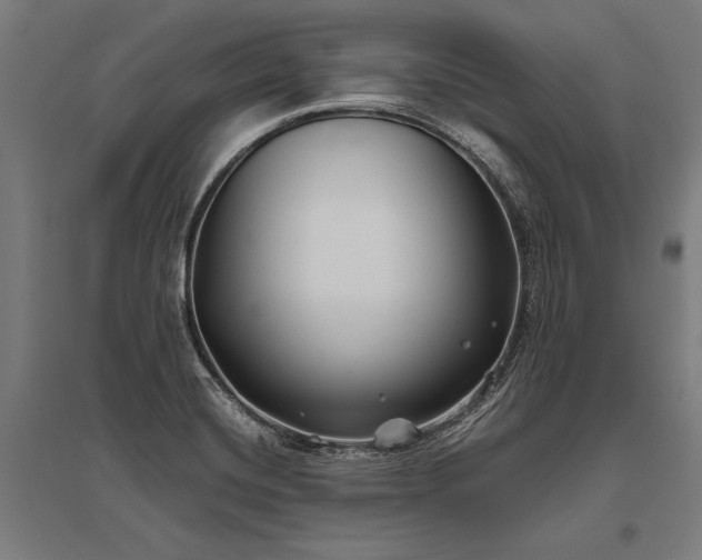 X0000096181420200801181302