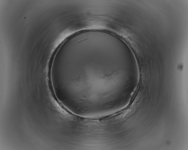 X0000096181422200801181302