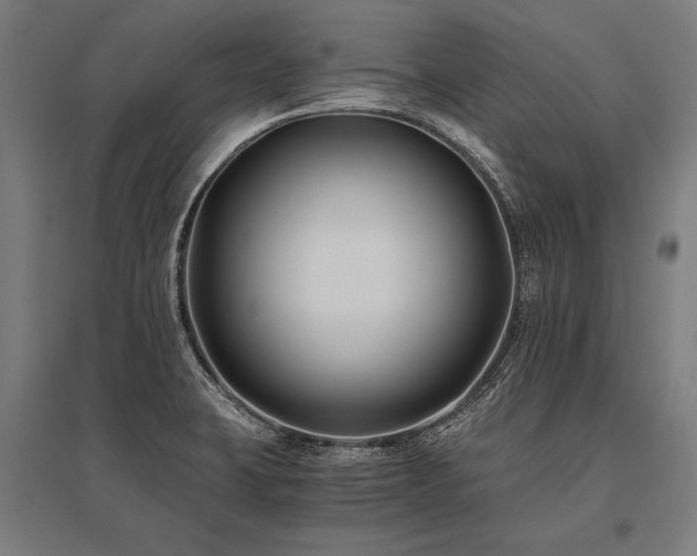 X0000096181423200801181302