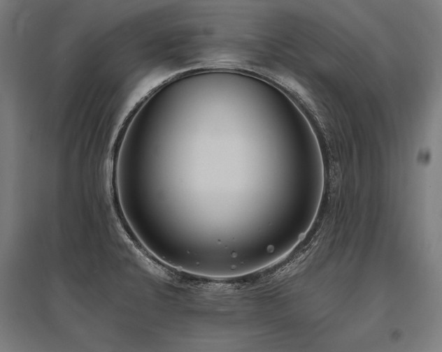 X0000096181424200801181302