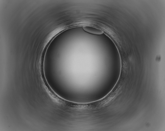 X0000096181426200801181302
