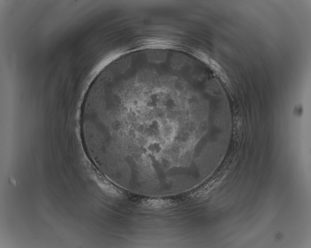 X0000096181427200801181302