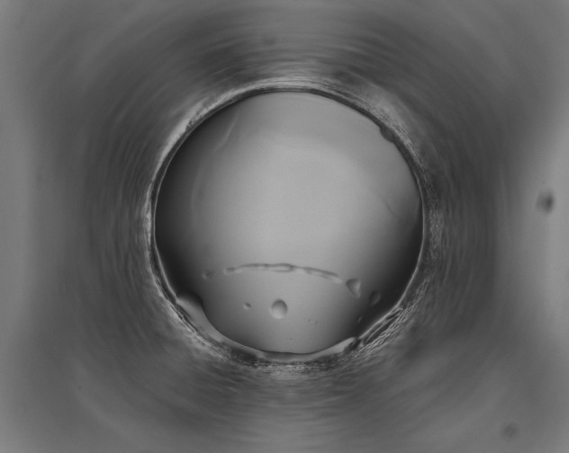 X0000096181428200801181302