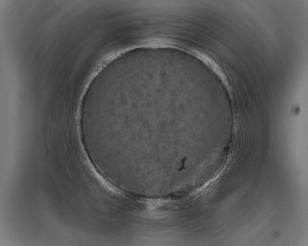 X0000096181429200801181302