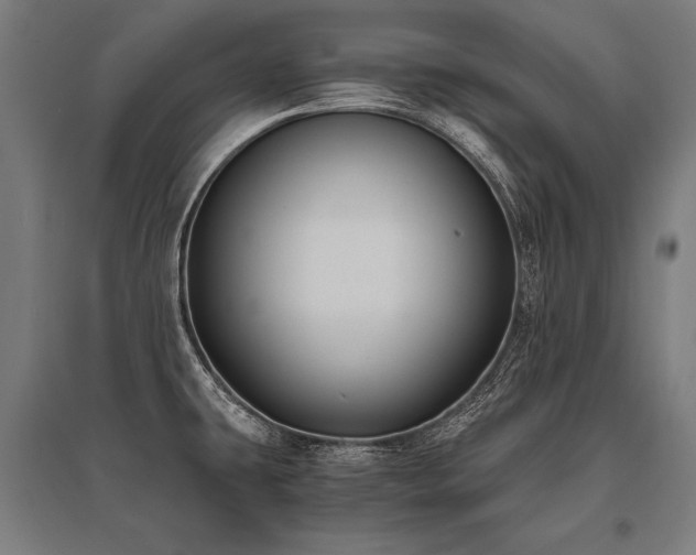 X0000096181431200801181302