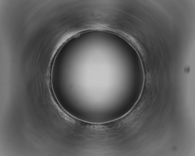 X0000096181432200801181302