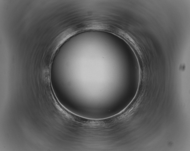X0000096181433200801181302