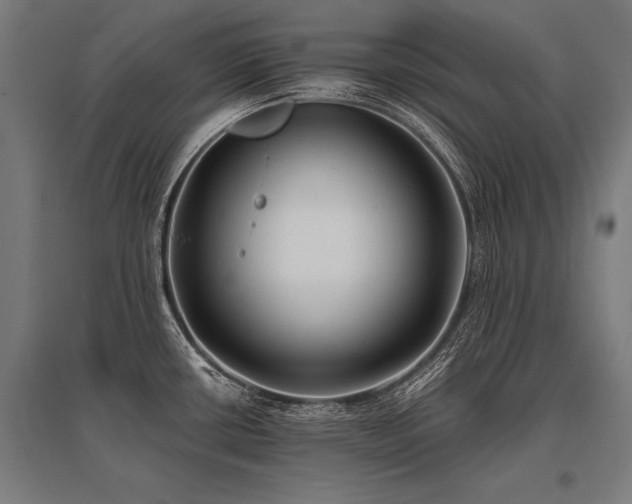 X0000096181434200801181302