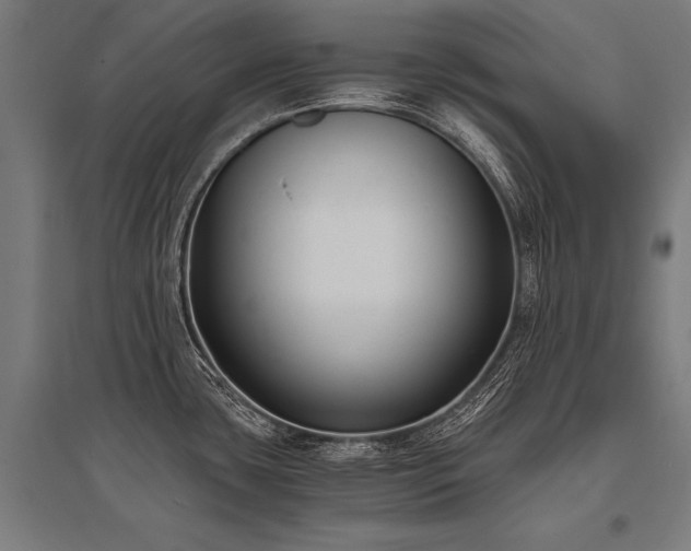 X0000096181435200801181302