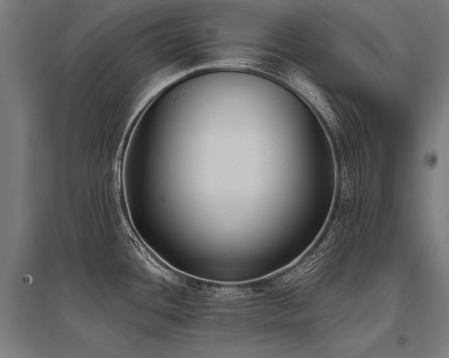 X0000096181436200801181302