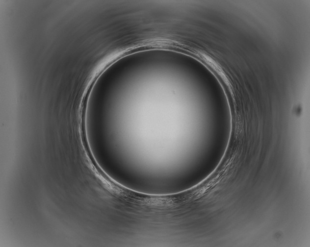 X0000096181437200801181302