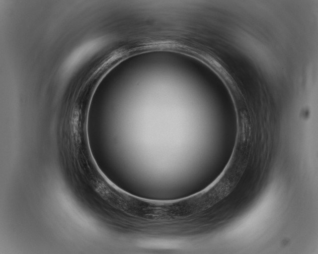 X0000096181438200801181302