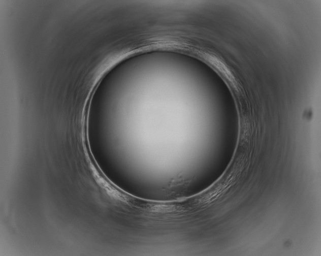 X0000096181439200801181303