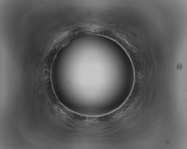 X0000096181447200801181302
