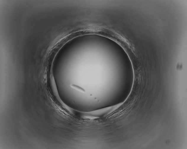 X0000096181448200801181302