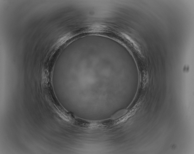 X0000096181449200801181302