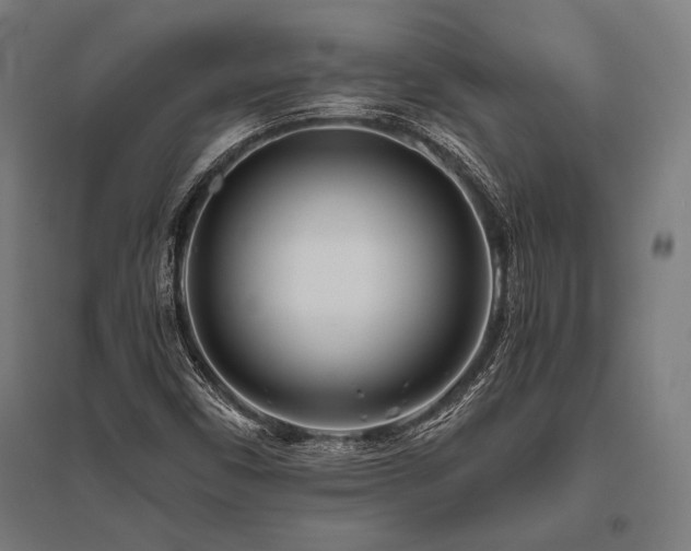 X0000096181450200801181302