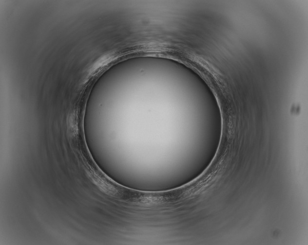 X0000096181451200801181302