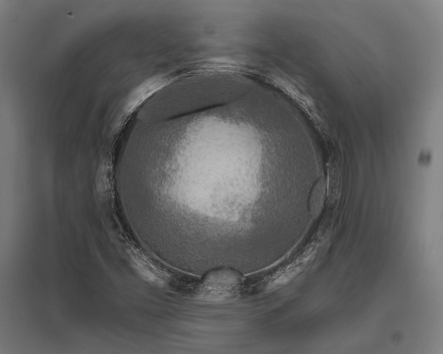 X0000096181453200801181302