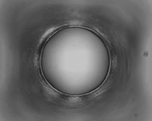 X0000096181454200801181302