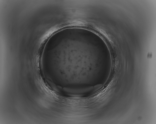 X0000096181455200801181302