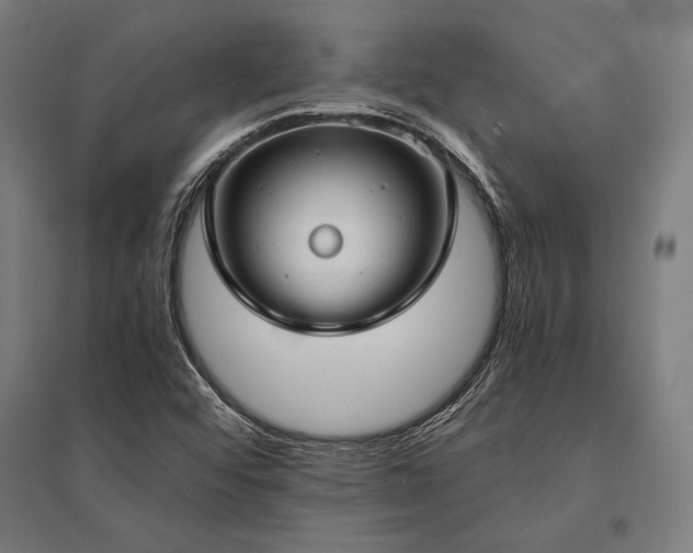 X0000096181456200801181302