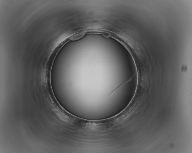 X0000096181458200801181302