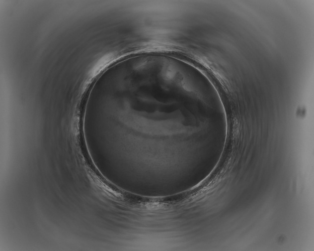 X0000096181459200801181302