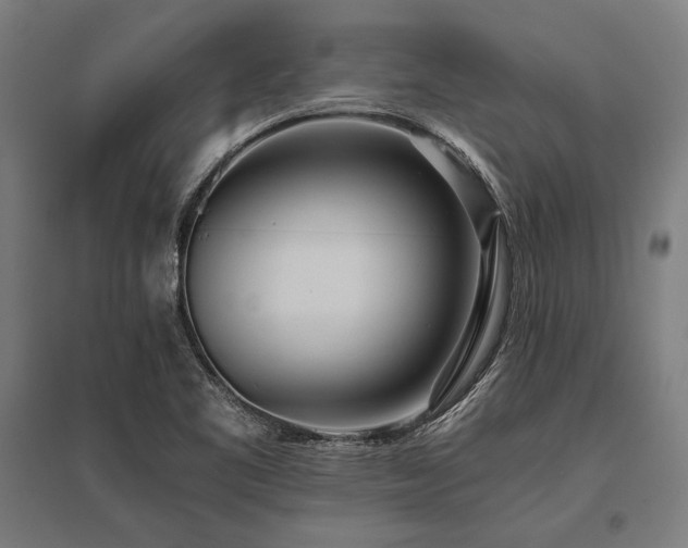 X0000096181461200801181302