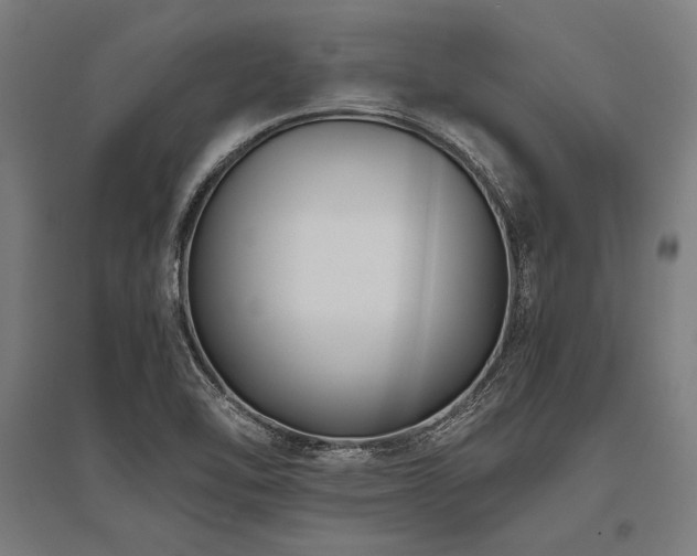 X0000096181462200801181302