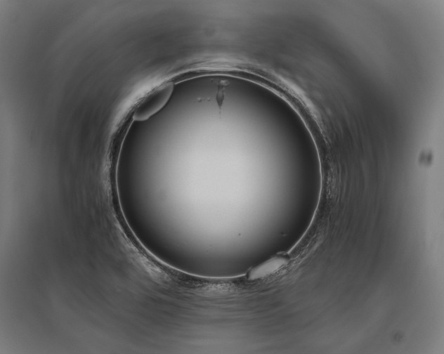 X0000096181464200801181302