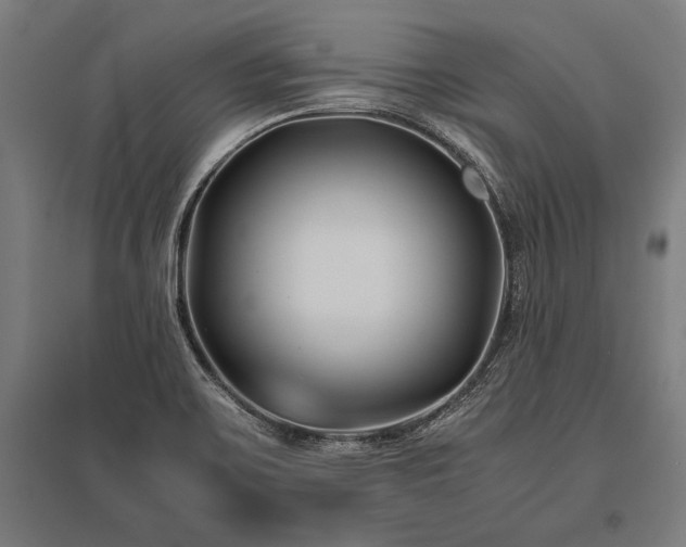 X0000096181467200801181302
