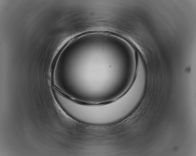 X0000096181468200801181301