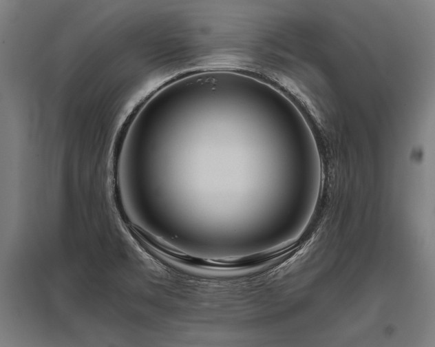 X0000096181469200801181301
