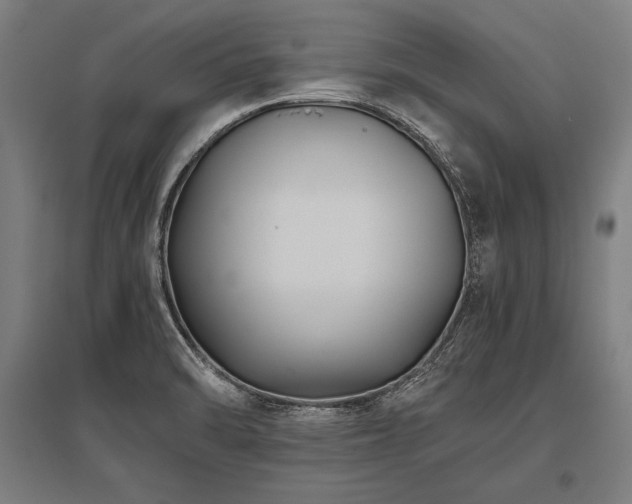 X0000096181470200801181301